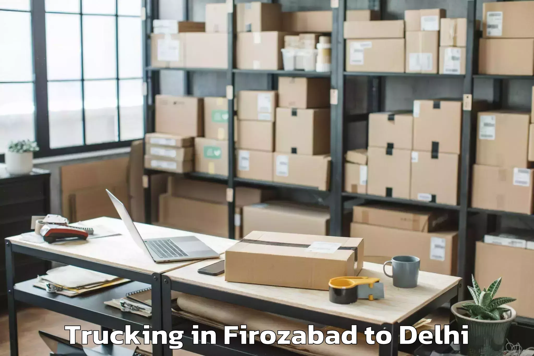 Professional Firozabad to Nit Delhi Trucking